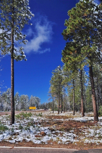 Highway 260, Arizona